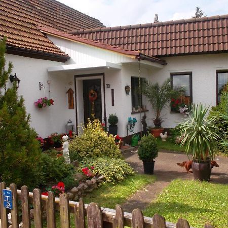 Ferienwohnung Lotti Wittenberg Екстер'єр фото