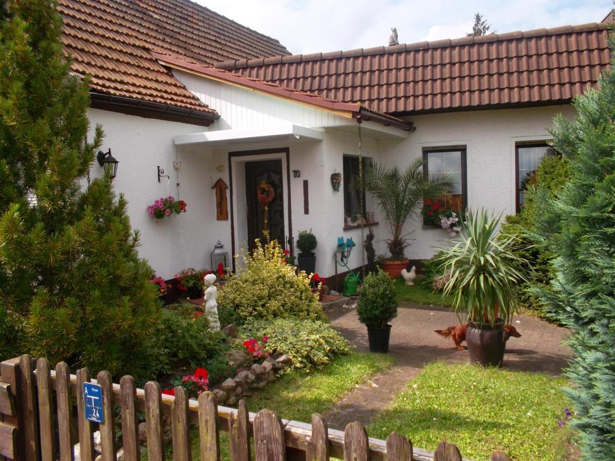 Ferienwohnung Lotti Wittenberg Екстер'єр фото